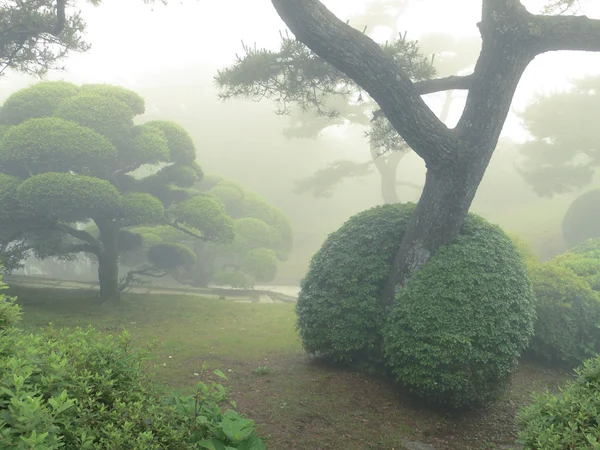 Японський парк до літа — стокове фото