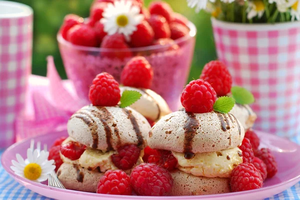 树莓与蛋白甜饼 — 图库照片