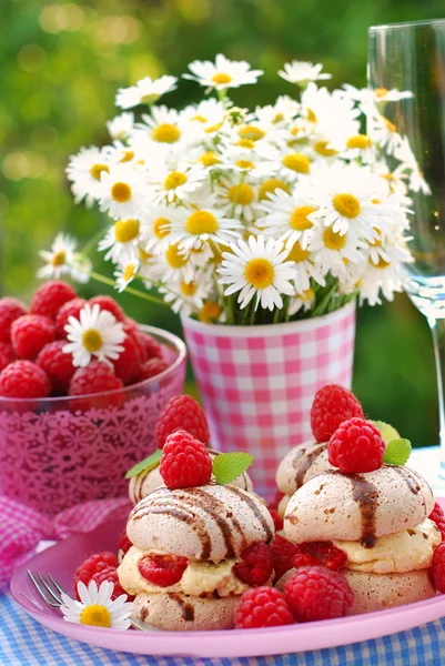 树莓与蛋白甜饼 — 图库照片