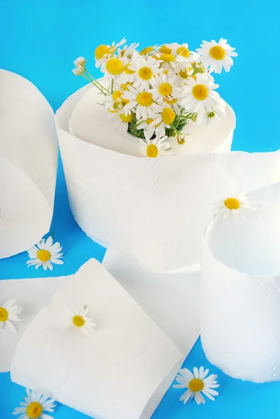 Toilet paper with camomile — Stock Photo, Image