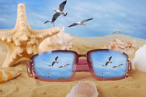 Yaz tatil anıları ile uçan martıları — Stok fotoğraf
