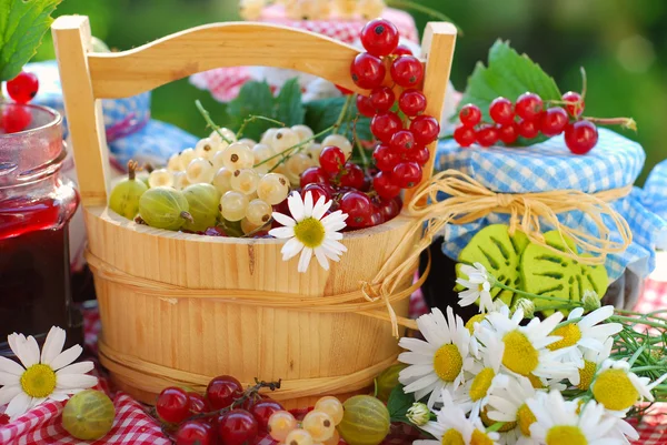 Sommerfrüchte und Marmeladen im Garten — Stockfoto