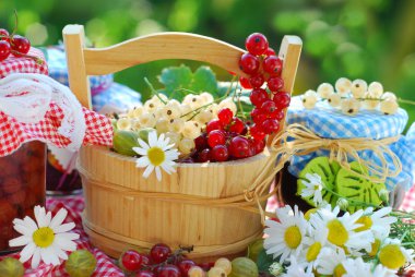 Summer fruits and preserves in the garden clipart