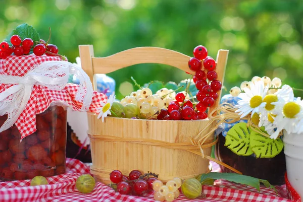 Sommerfrüchte und Marmeladen im Garten — Stockfoto