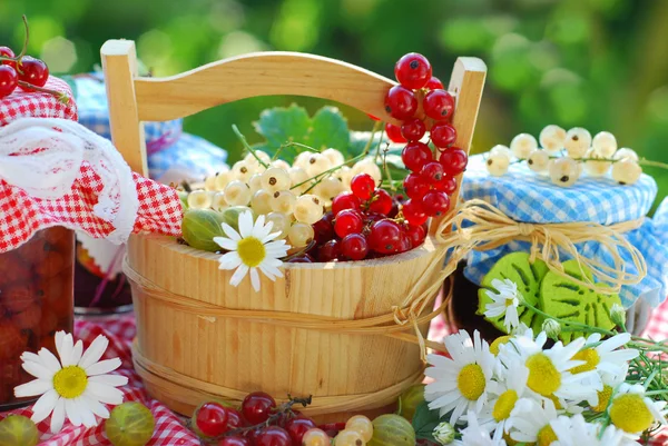 Letní ovoce a konzerv v zahradě — Stock fotografie