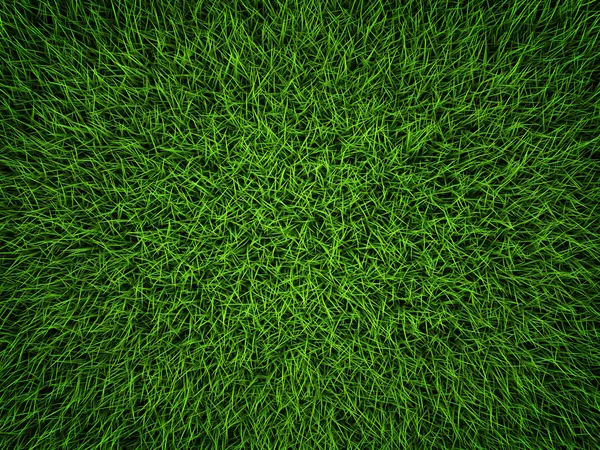 Зелена трава Ліцензійні Стокові Фото