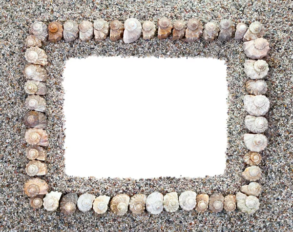 Seashells Frame — Stock Photo, Image