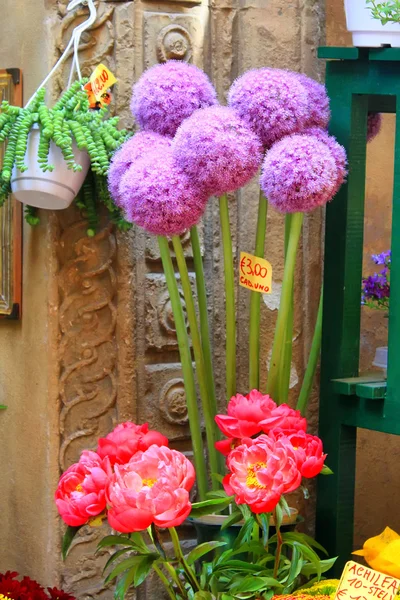 Tienda de flores — Foto de Stock