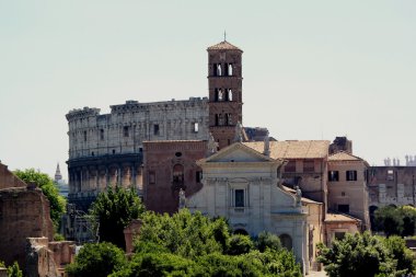 Roma Forumu