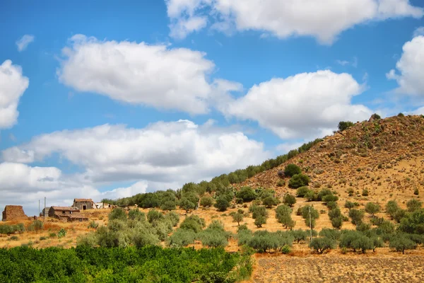 stock image Rural landscape