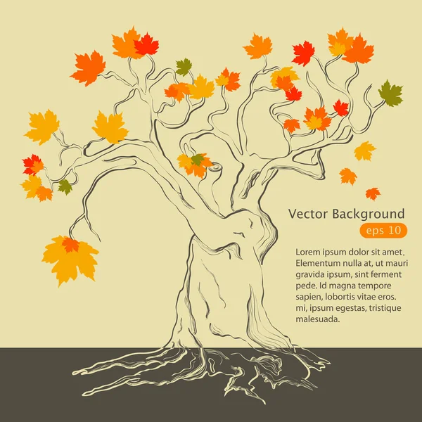 Árvore do Outono — Vetor de Stock