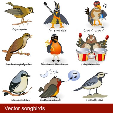 Vector songbirds clipart