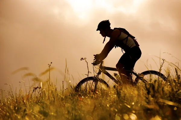 Mountainbike man utomhus — Stockfoto