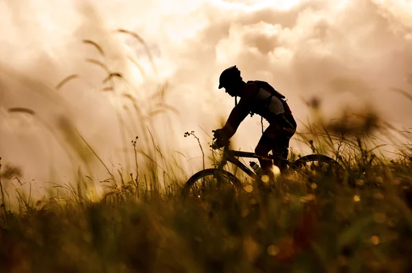 Mountainbike-Mann im Freien — Stockfoto