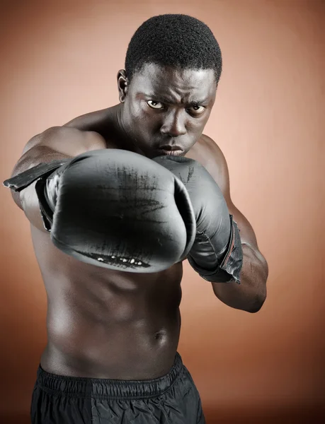 Сильный боксер — стоковое фото
