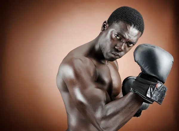 Boxer bem definido — Fotografia de Stock