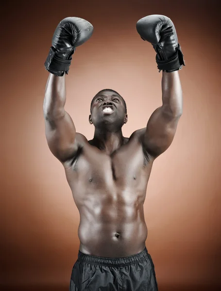 Winning boxer — Stock Photo, Image