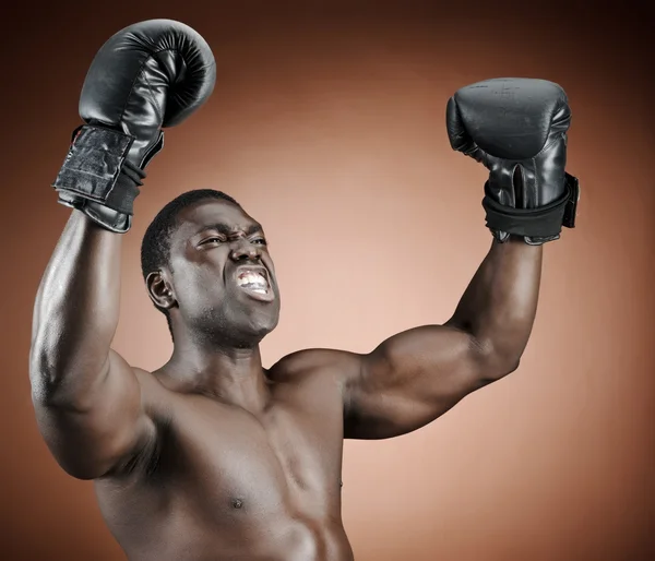 Winning boxer — Stock Photo, Image