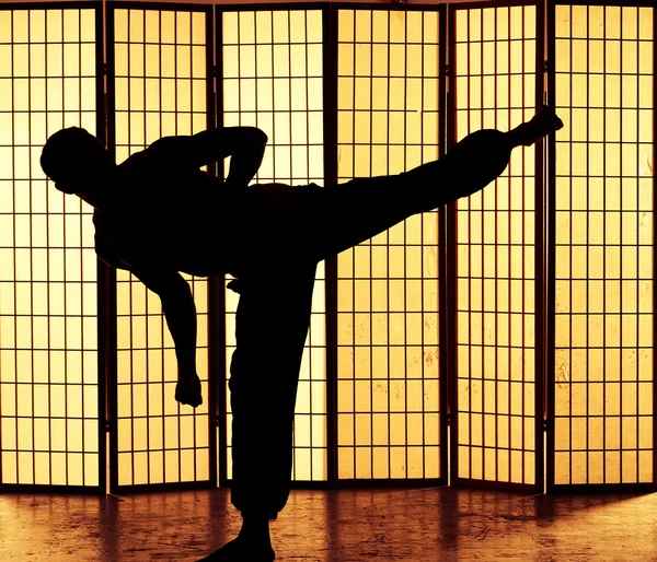 Kung fu pontapé — Fotografia de Stock