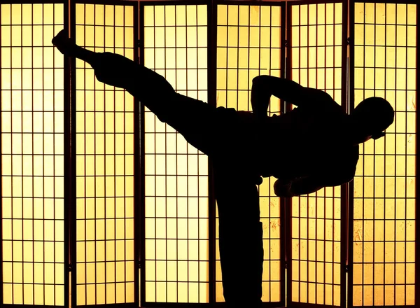 Kung fu kick — Stockfoto