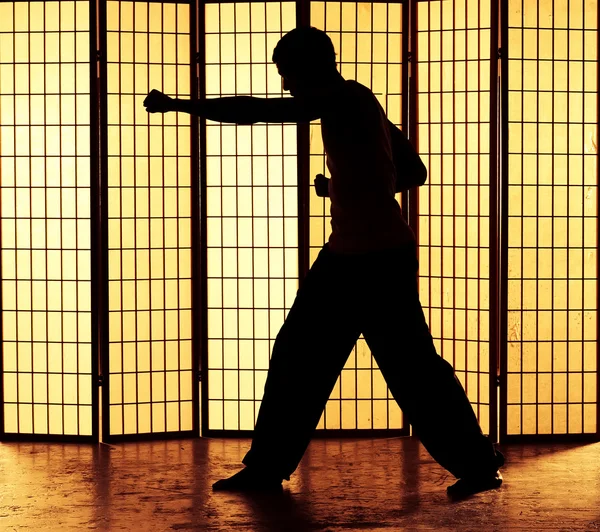 Kung fu γροθιά — Φωτογραφία Αρχείου