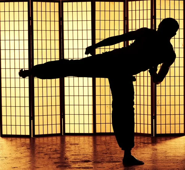 Kung fu kick — Stok fotoğraf