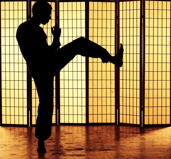Kung fu λάκτισμα — Φωτογραφία Αρχείου