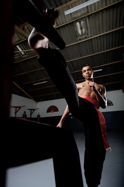 Wing Chun Kung Fu — Stok Foto