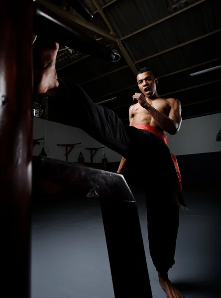 Wing Chun Kung Fu — Stock Fotó