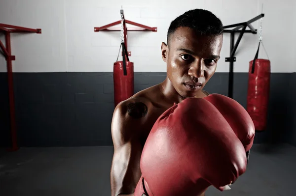 Boxing portrait — Stock Photo, Image