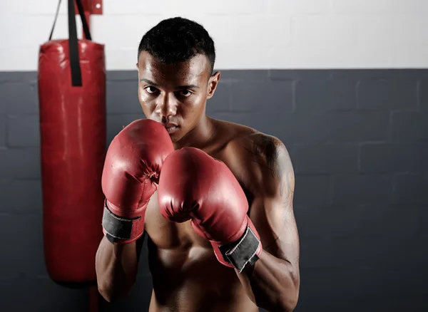 Boxing portrait — Stock Photo, Image