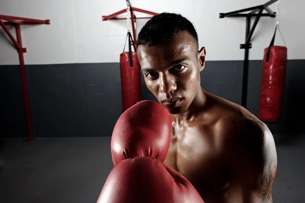Портрет боксёра — стоковое фото