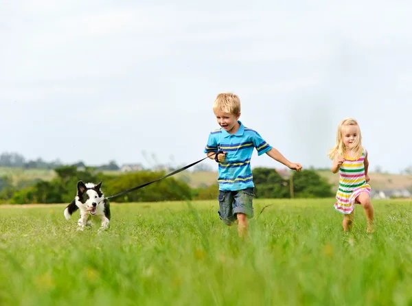 Happy children with dog — Stock Photo, Image