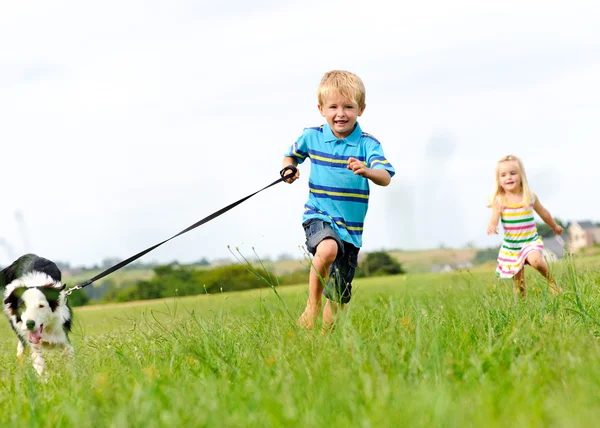 Щасливі діти бігають на відкритому повітрі з собакою — стокове фото