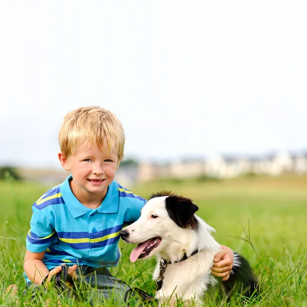 Χαριτωμένο αγόρι με ποιμενικού σκύλου — Φωτογραφία Αρχείου