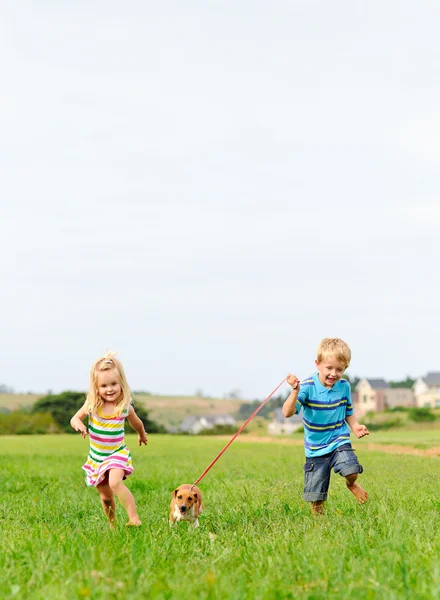 Nette Geschwister rennen im Feld — Stockfoto