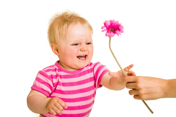 Enfant fille donnant fleur — Photo