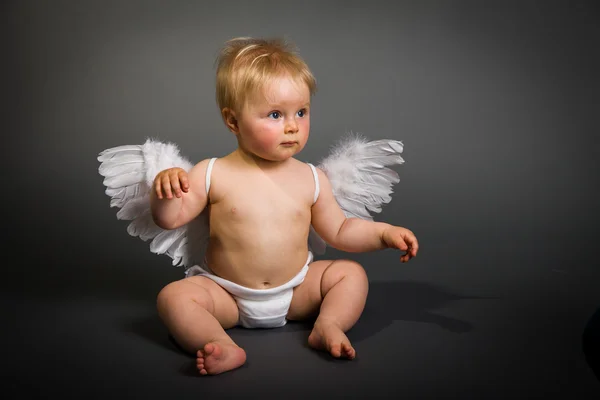 Bebé con alas de ángel sobre fondo neutro —  Fotos de Stock