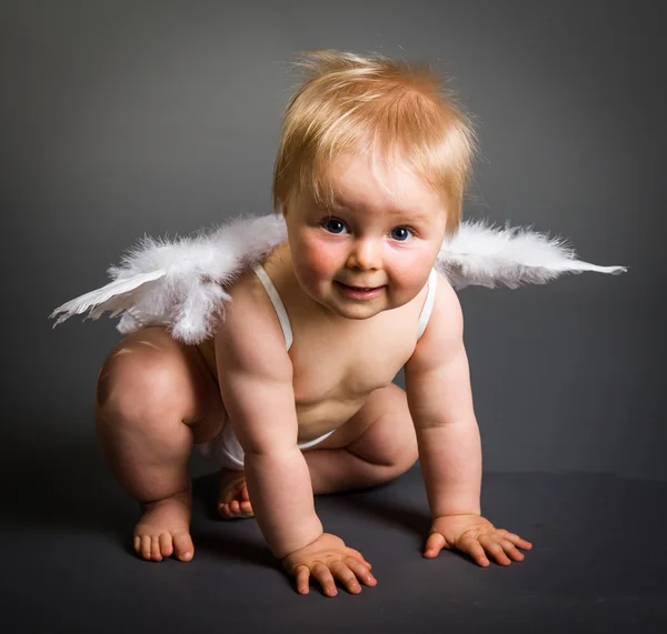 Säugling mit Engelsflügeln auf neutralem Hintergrund — Stockfoto