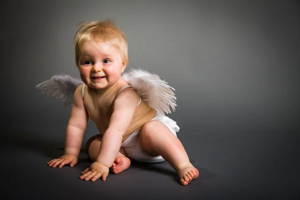 Младенец с крыльями ангела на нейтральном фоне — стоковое фото