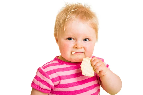 Säugling lernt Keks essen — Stockfoto