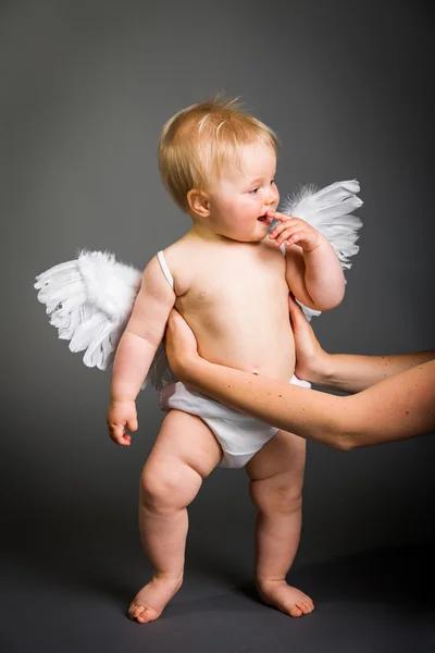 中性背景下有天使翅膀的婴儿 — 图库照片