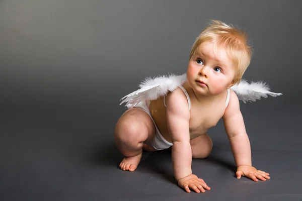 Angyalszárnyú csecsemő semleges háttérrel — Stock Fotó