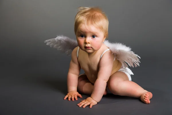 Bebé con alas de ángel sobre fondo neutro — Foto de Stock