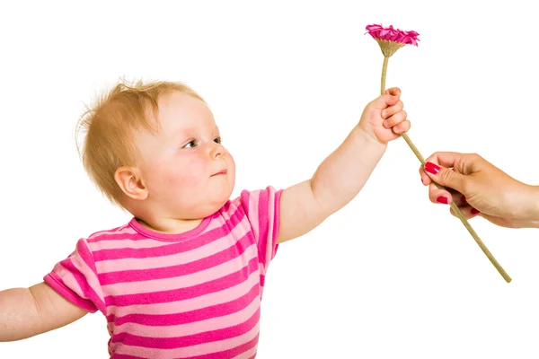 Spädbarn flicka ger blomma — Stockfoto