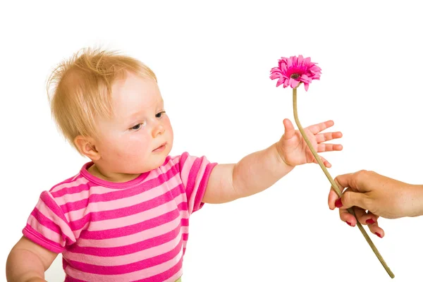 Enfant fille donnant fleur — Photo