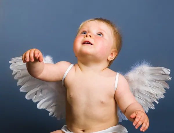 Немовля з ангельськими крилами на нейтральному тлі — стокове фото