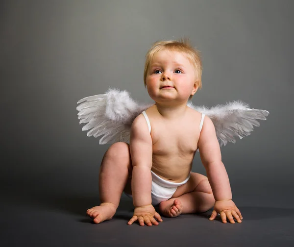 Bebê infantil com asas de anjo em fundo neutro Fotografias De Stock Royalty-Free