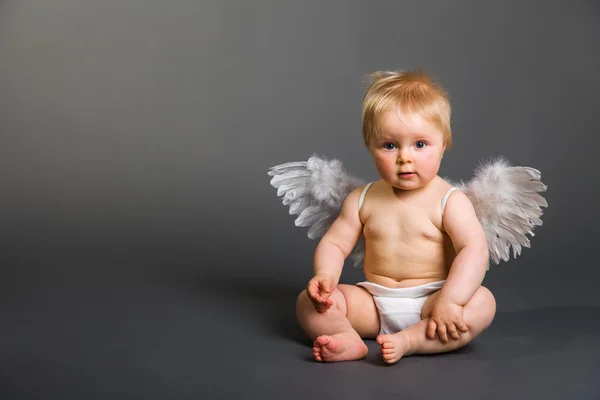 Säugling mit Engelsflügeln auf neutralem Hintergrund lizenzfreie Stockbilder
