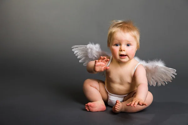 Säugling mit Engelsflügeln auf neutralem Hintergrund Stockfoto